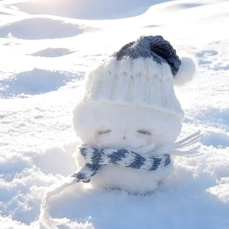 Winter PFP #6 (aesthetic, cute)