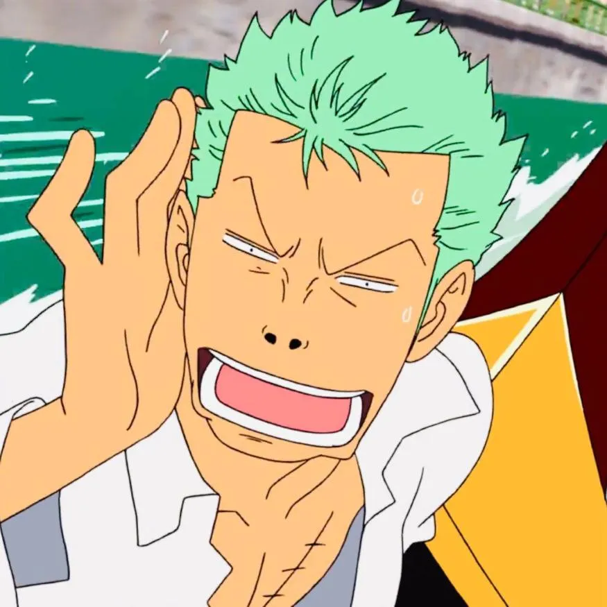 Zoro PFP #17 (funny)