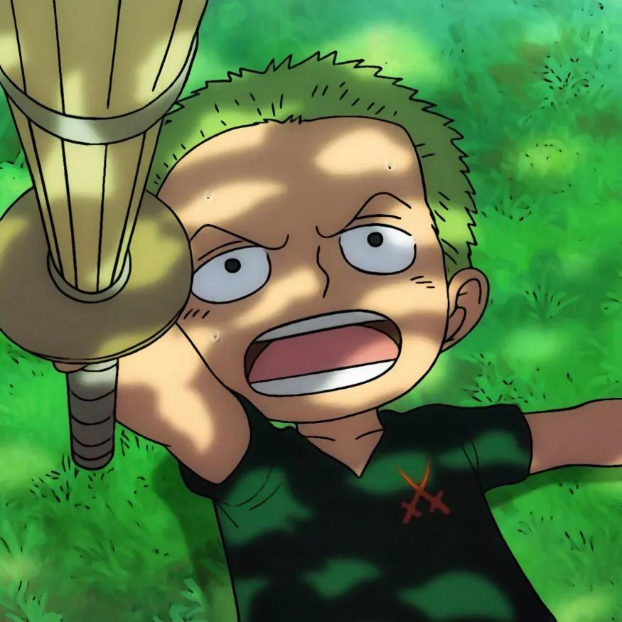 Zoro PFP #20