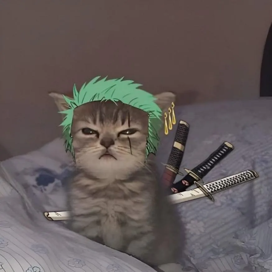 Zoro PFP #5 (cat, funny)